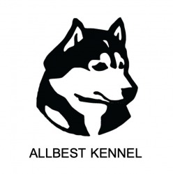 Allbest Kennel